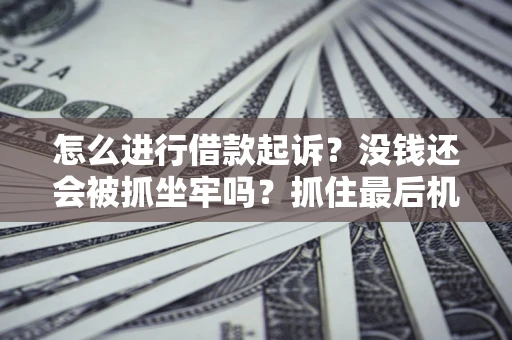 济南怎么进行借款起诉？没钱还会被抓坐牢吗？抓住最后机会！