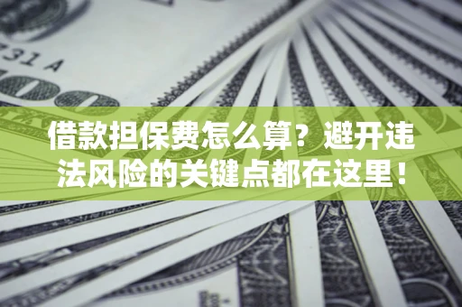 济南借款担保费怎么算？避开违法风险的关键点都在这里！