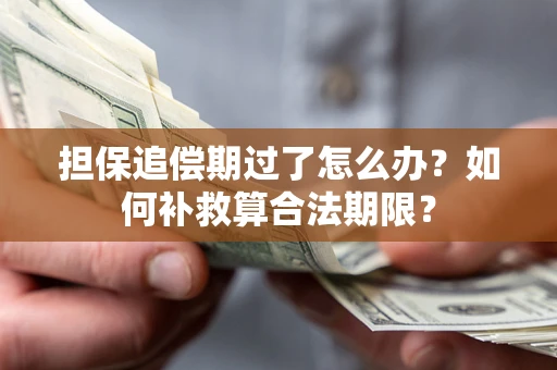 济南担保追偿期过了怎么办？如何补救算合法期限？